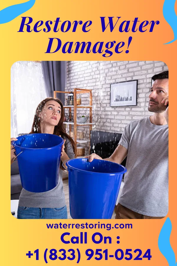 water restoration Master Sewage Cleanup Solutions Grazierville