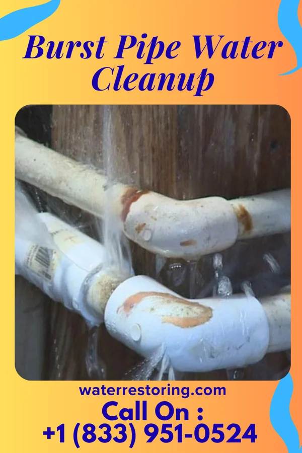 Burst Pipe Water Cleanup in Grazierville, PA